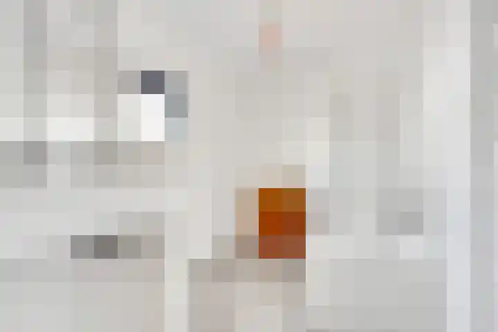 Stobberakplantsoen 42 Utrecht thumbnail 45