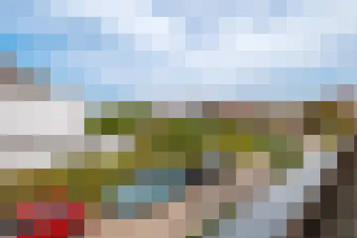 Stobberakplantsoen 42 Utrecht thumbnail 47
