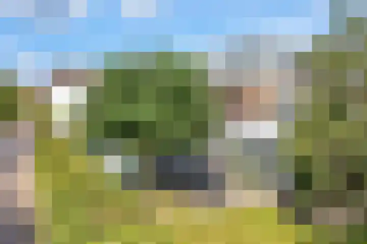 Stobberakplantsoen 42 Utrecht thumbnail 5