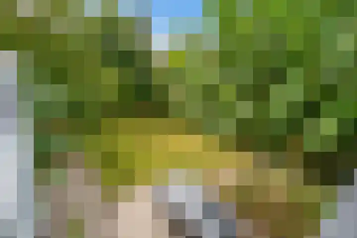 Stobberakplantsoen 42 Utrecht thumbnail 51