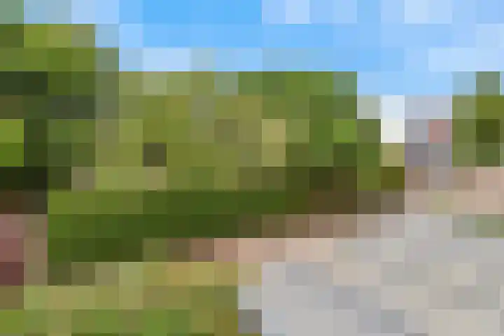 Stobberakplantsoen 42 Utrecht thumbnail 52