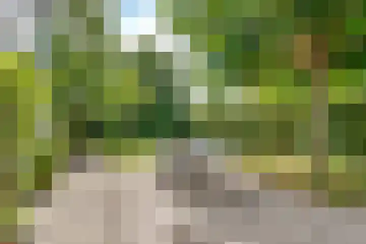 Stobberakplantsoen 42 Utrecht thumbnail 53