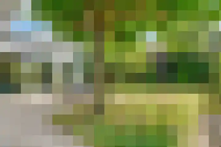 Stobberakplantsoen 42 Utrecht thumbnail 54