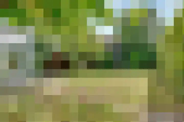 Stobberakplantsoen 42 Utrecht thumbnail 55