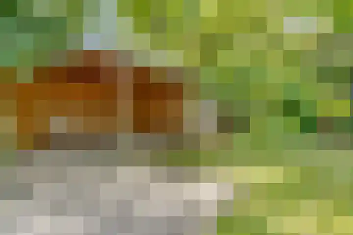 Stobberakplantsoen 42 Utrecht thumbnail 56