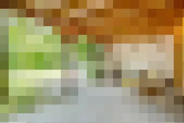 Stobberakplantsoen 42 Utrecht thumbnail 57