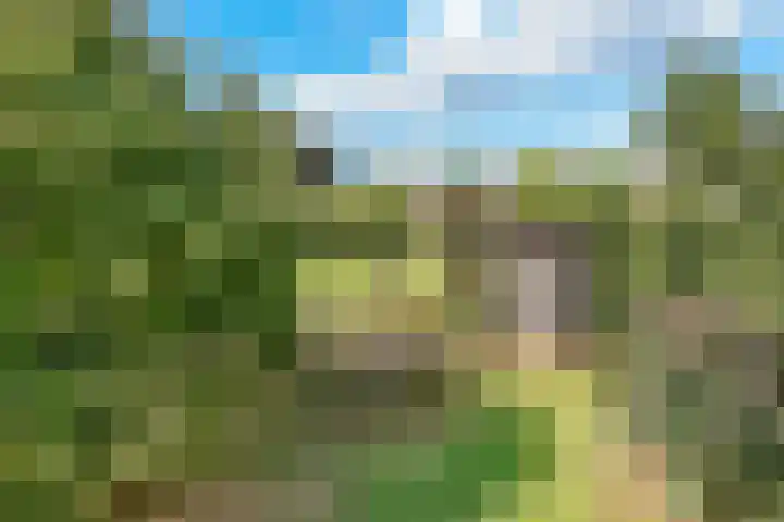 Stobberakplantsoen 42 Utrecht thumbnail 61