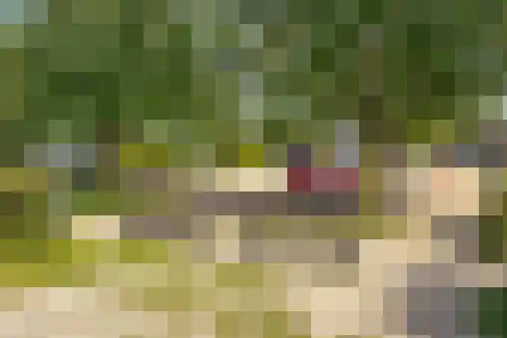 Stobberakplantsoen 42 Utrecht thumbnail 64