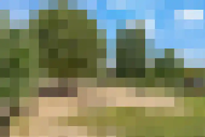 Stobberakplantsoen 42 Utrecht thumbnail 65
