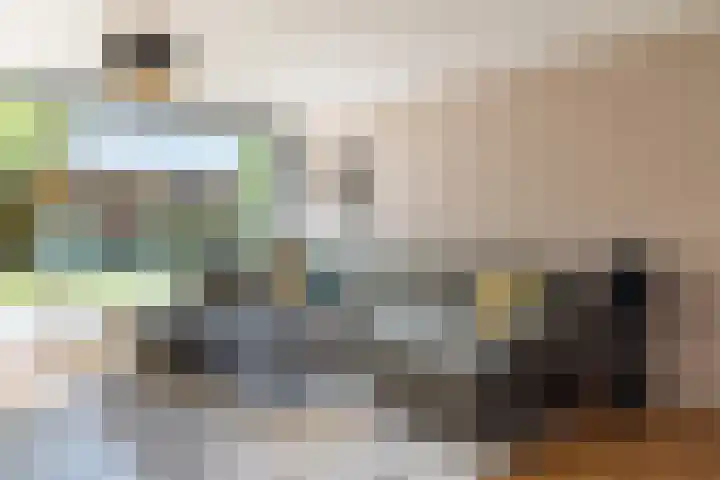 Stobberakplantsoen 52 Utrecht thumbnail 14