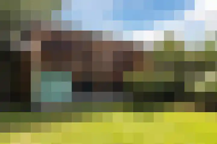Stobberakplantsoen 52 Utrecht thumbnail 17
