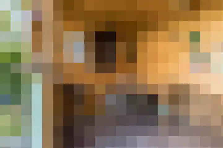 Stobberakplantsoen 52 Utrecht thumbnail 20
