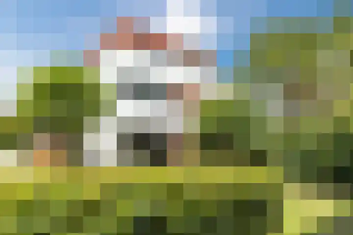 Stobberakplantsoen 52 Utrecht thumbnail 22