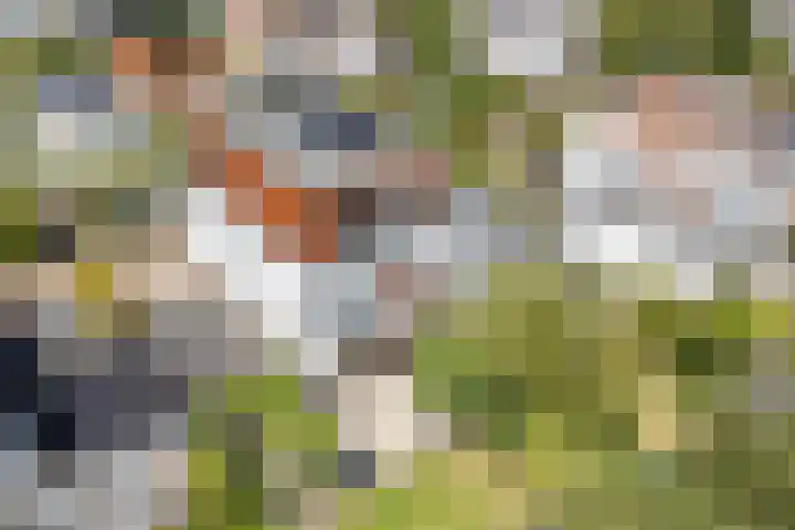 Stobberakplantsoen 52 Utrecht thumbnail 23