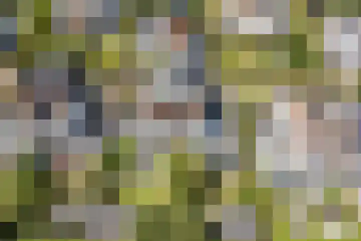 Stobberakplantsoen 52 Utrecht thumbnail 24