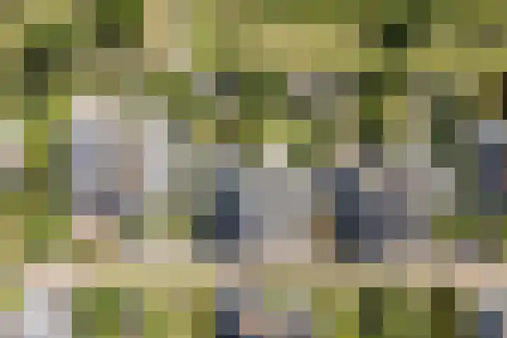Stobberakplantsoen 52 Utrecht thumbnail 25