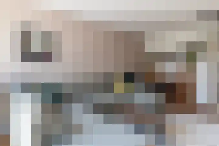 Stobberakplantsoen 52 Utrecht thumbnail 26