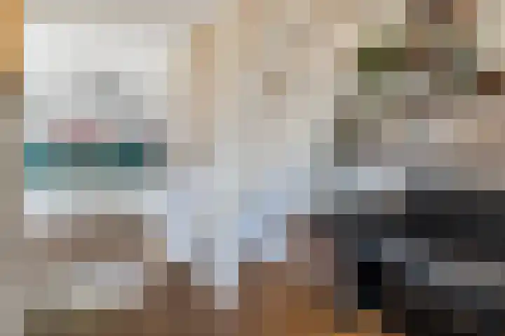 Stobberakplantsoen 52 Utrecht thumbnail 28