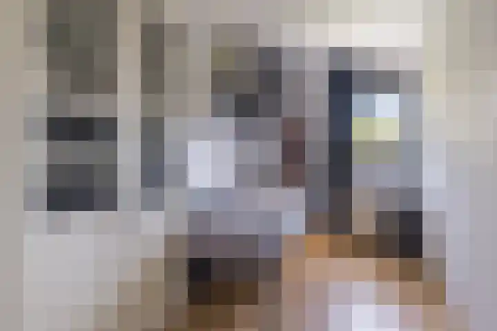 Stobberakplantsoen 52 Utrecht thumbnail 30
