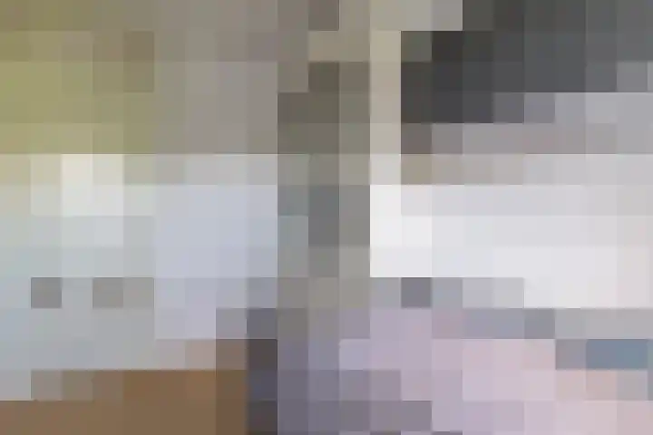 Stobberakplantsoen 52 Utrecht thumbnail 32