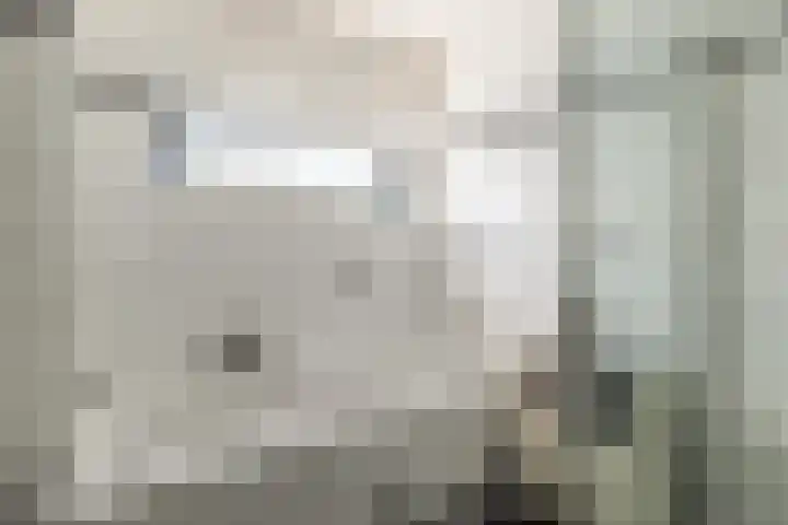 Stobberakplantsoen 52 Utrecht thumbnail 36