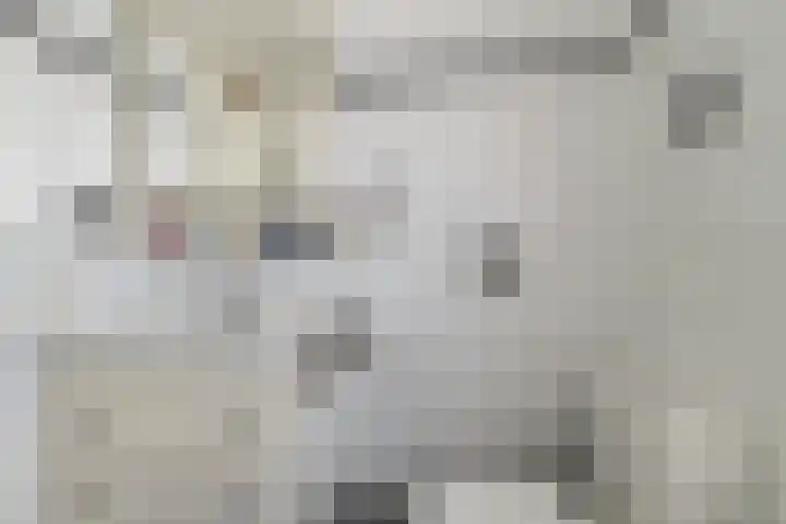 Stobberakplantsoen 52 Utrecht thumbnail 37