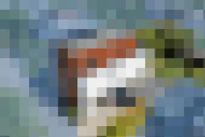 Stobberakplantsoen 52 Utrecht thumbnail 4