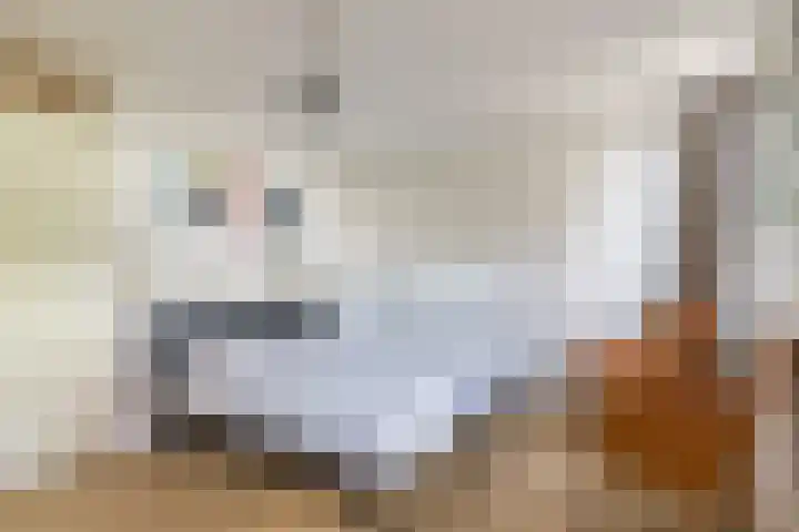Stobberakplantsoen 52 Utrecht thumbnail 40