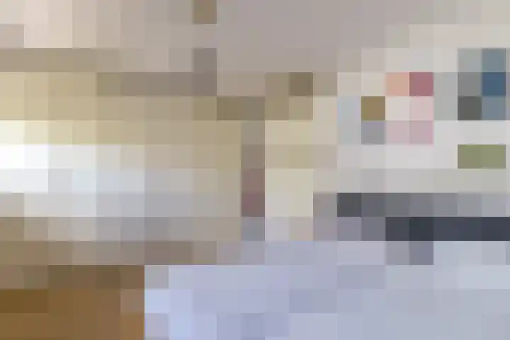 Stobberakplantsoen 52 Utrecht thumbnail 41