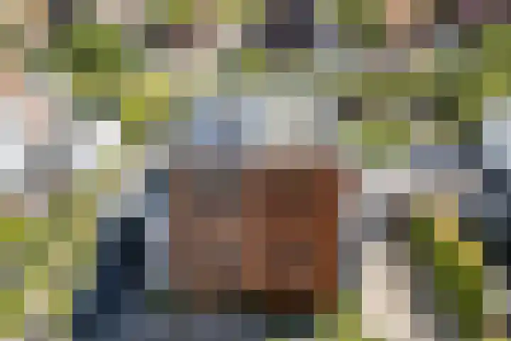 Stobberakplantsoen 52 Utrecht thumbnail 51