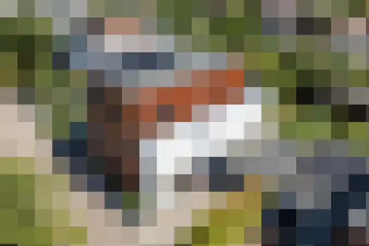Stobberakplantsoen 52 Utrecht thumbnail 53
