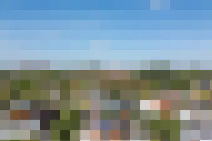 Stobberakplantsoen 52 Utrecht thumbnail 56