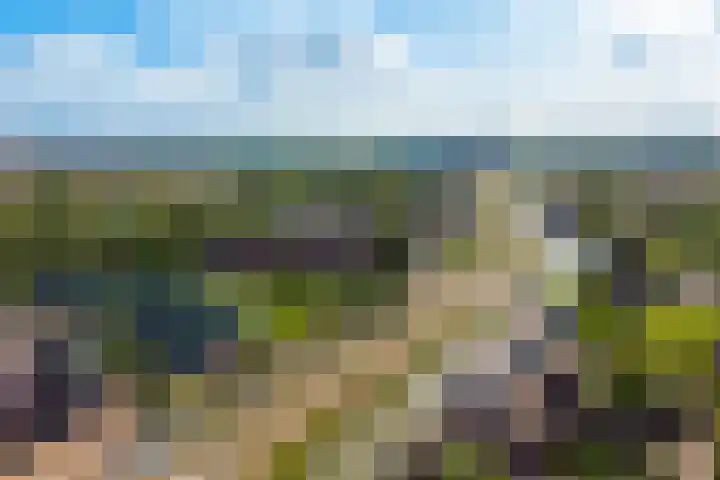 Stobberakplantsoen 52 Utrecht thumbnail 57