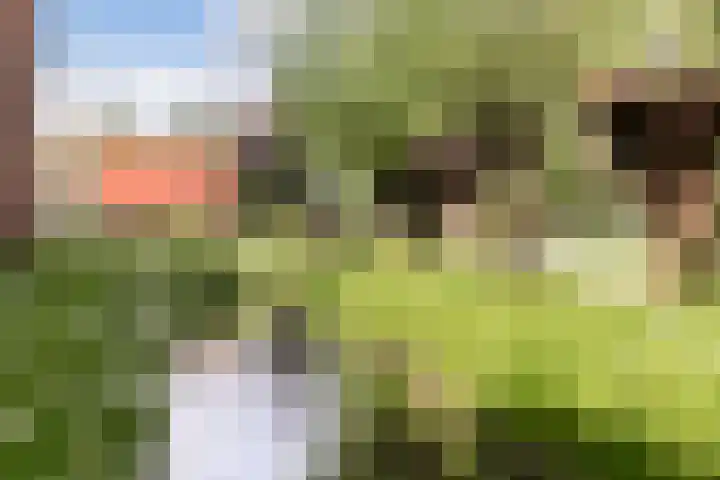 Stobberakplantsoen 52 Utrecht thumbnail 58