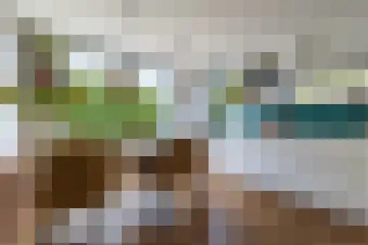 Stobberakplantsoen 52 Utrecht thumbnail 9