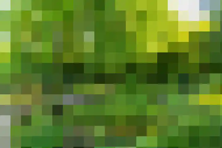 Stobbeweg 4 Hierden thumbnail 10