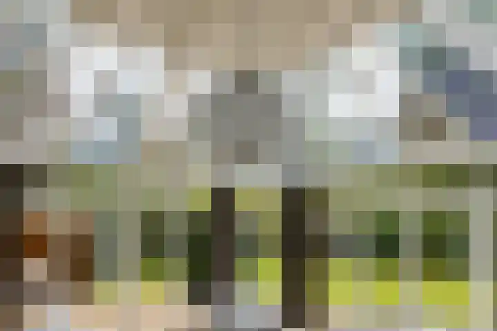 Stobbeweg 4 Hierden thumbnail 30