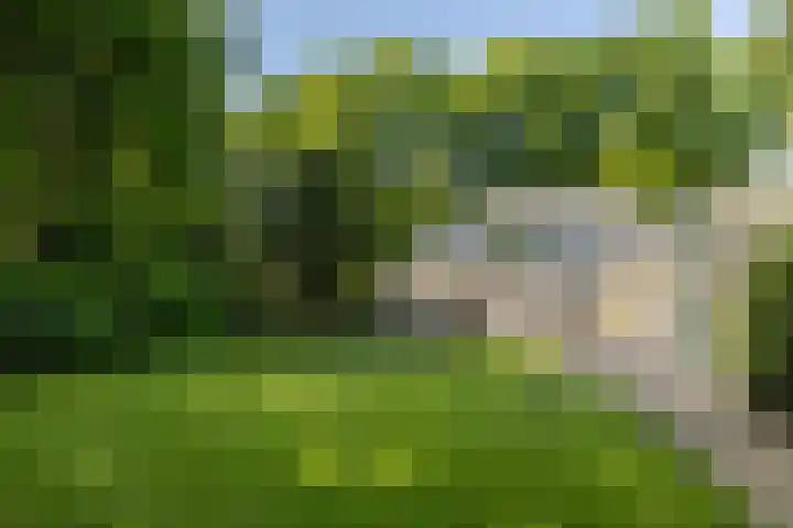 Stobbeweg 4 Hierden thumbnail 4
