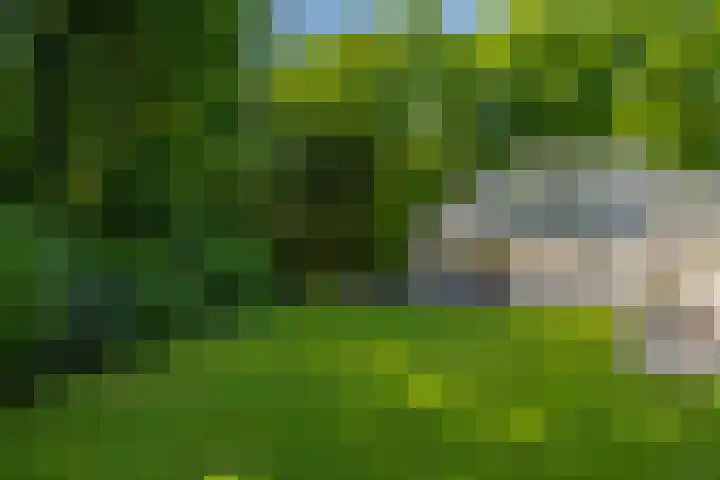 Stobbeweg 4 Hierden thumbnail 45