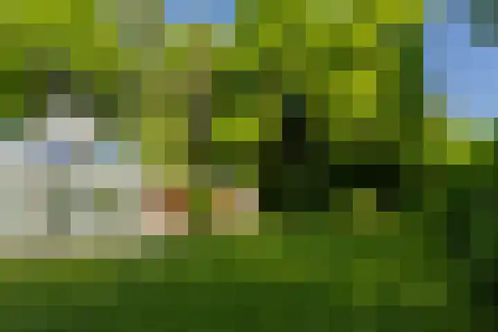 Stobbeweg 4 Hierden thumbnail 47