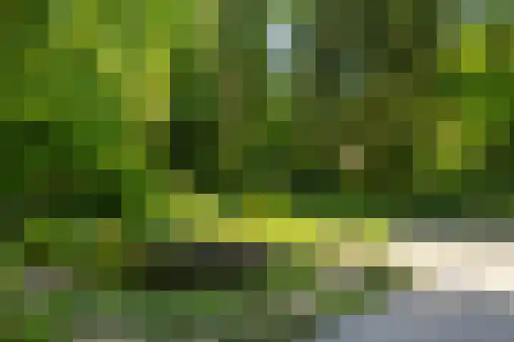 Stobbeweg 4 Hierden thumbnail 51