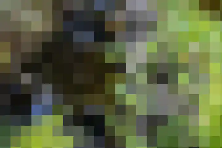 Stobbeweg 4 Hierden thumbnail 53
