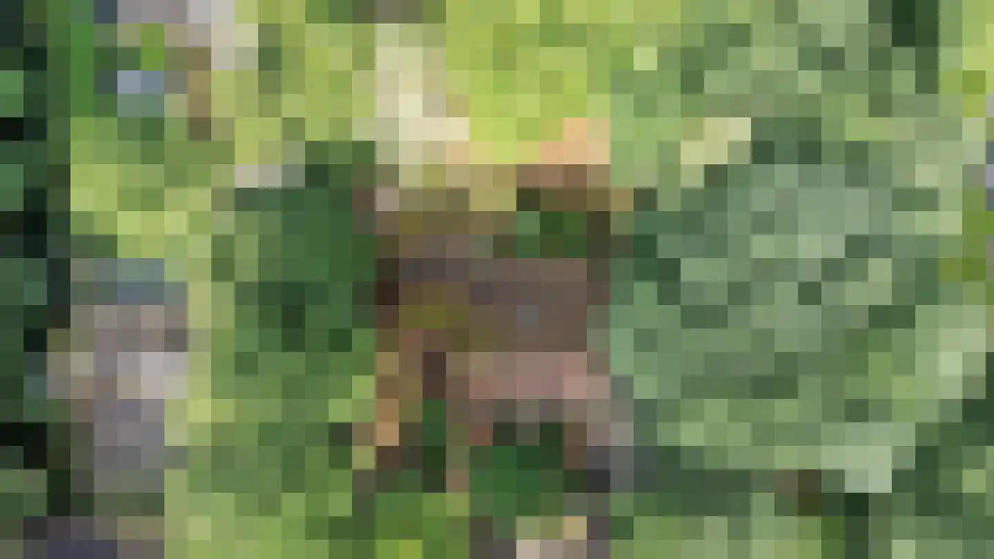 Stobbeweg 5 Hierden thumbnail 38