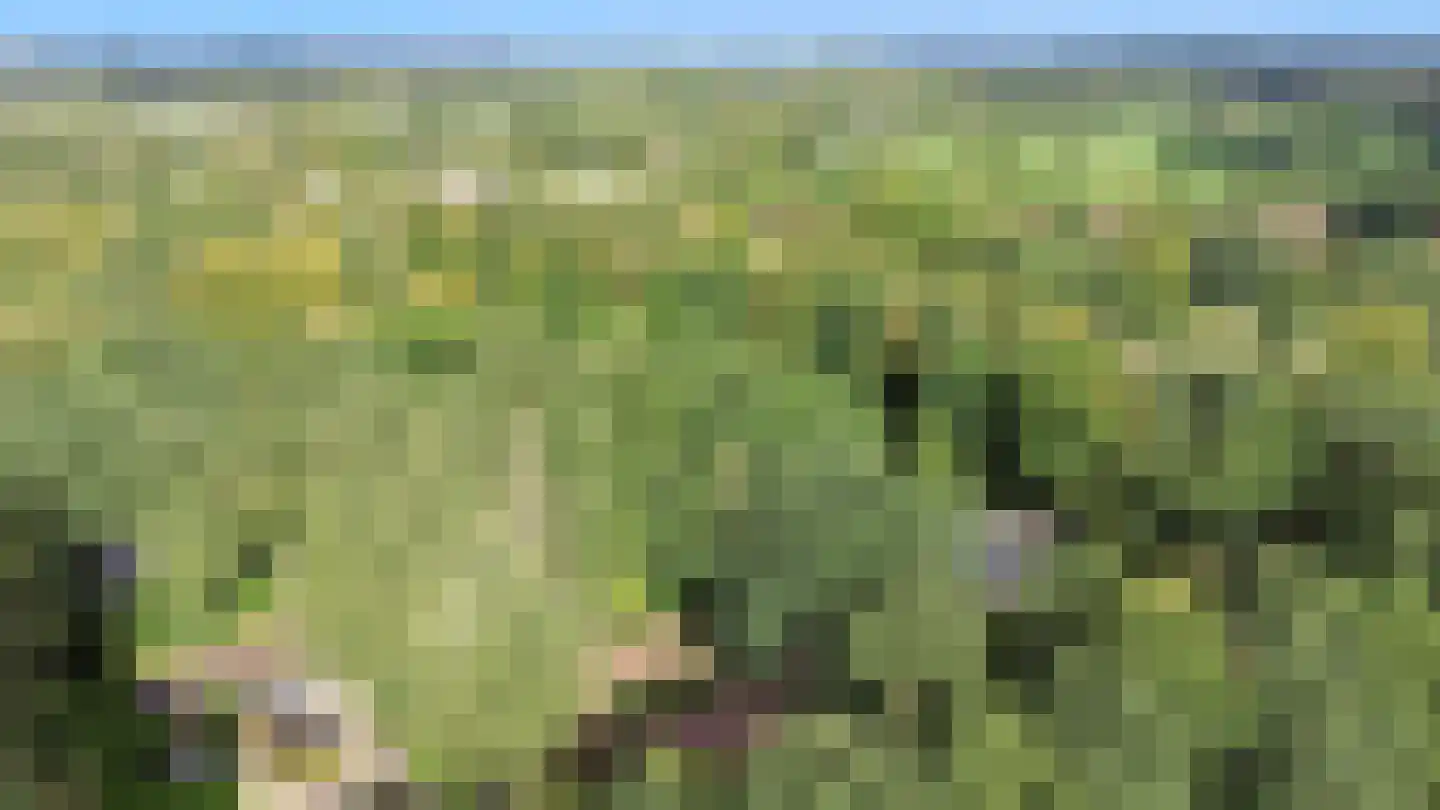 Stobbeweg 5 Hierden thumbnail 39
