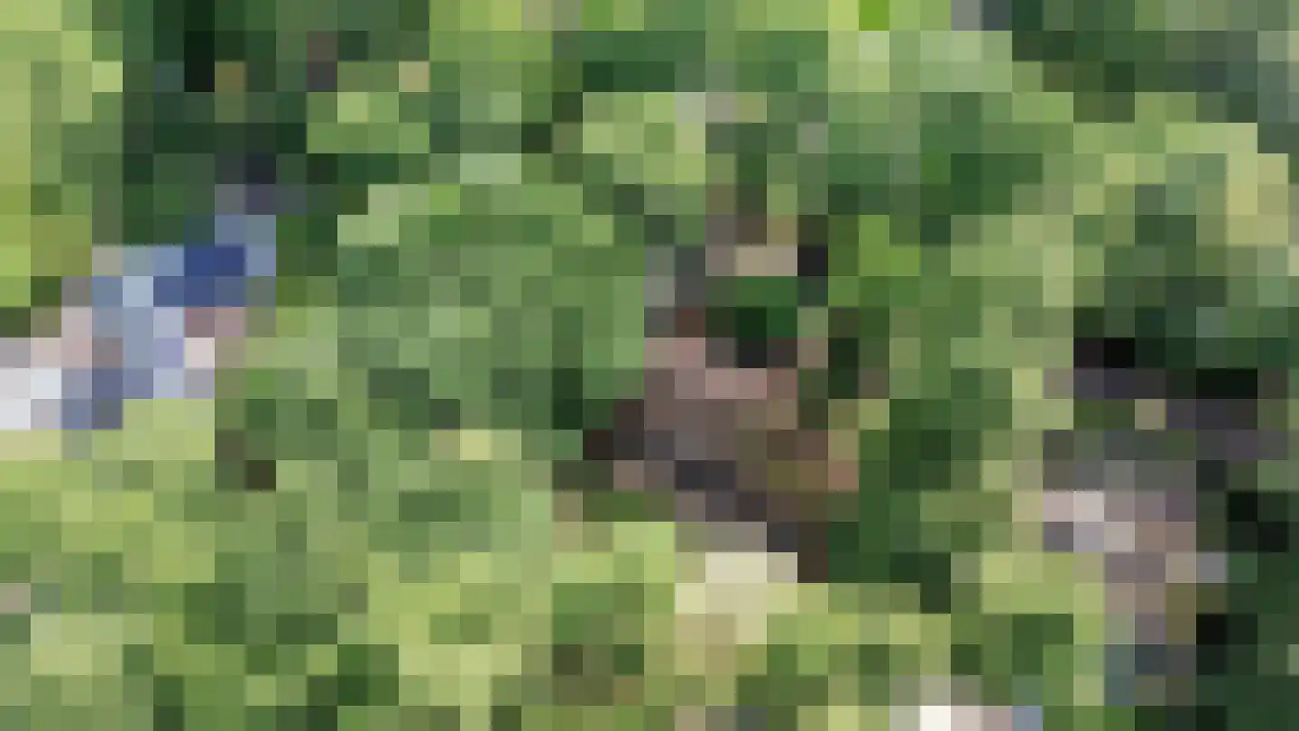 Stobbeweg 5 Hierden thumbnail 40