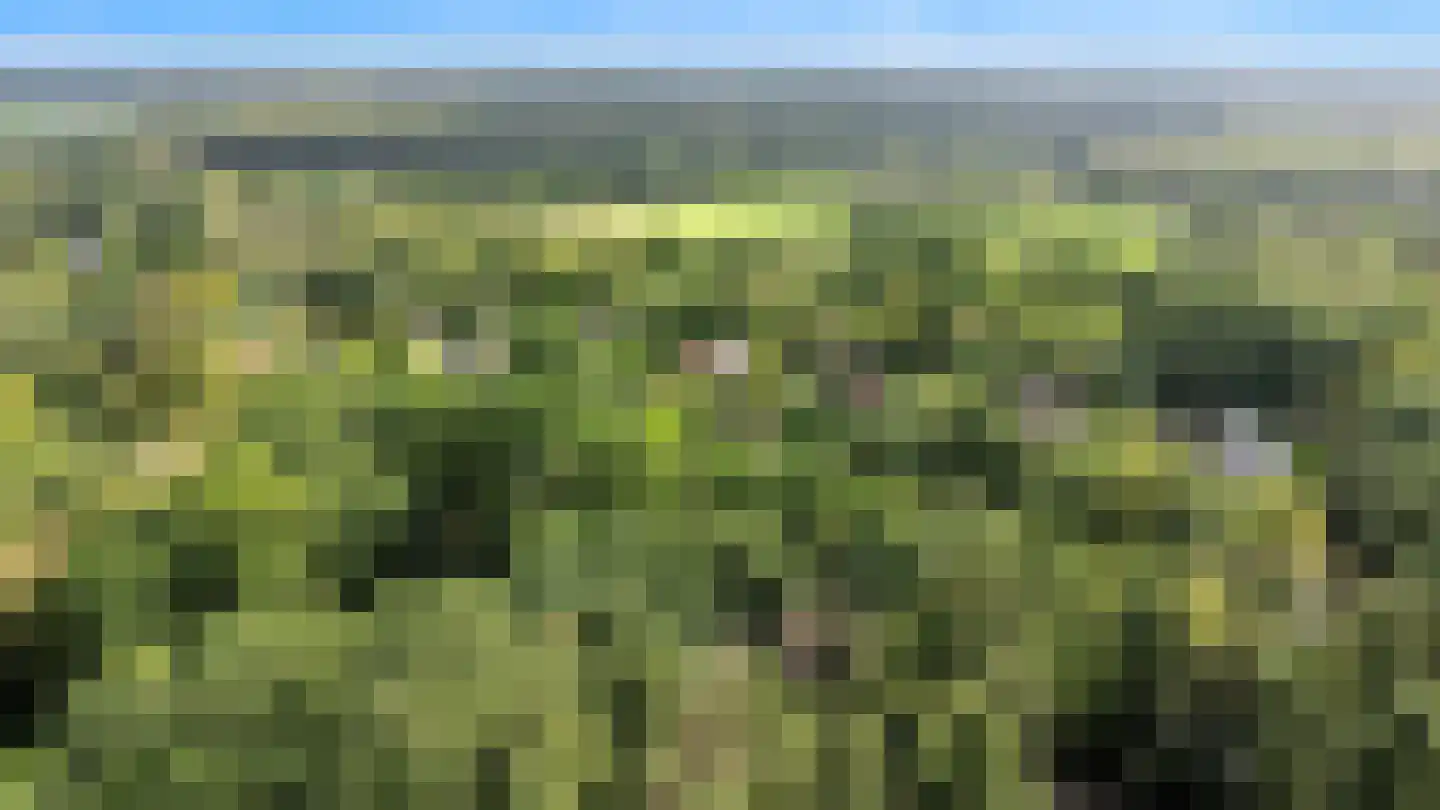 Stobbeweg 5 Hierden thumbnail 41