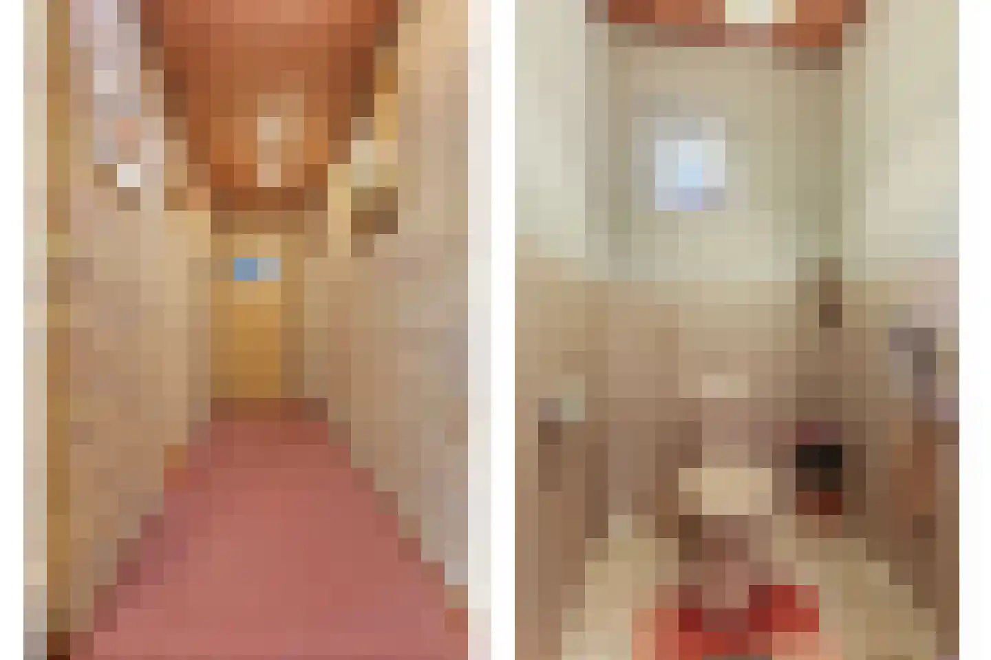 Stobbeweg 5 Hierden thumbnail 9