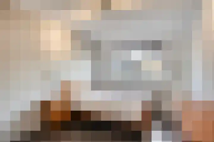 Stockhekken 10 Heesch thumbnail 17