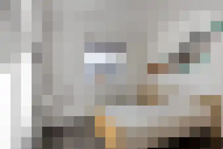 Stockhekken 10 Heesch thumbnail 19