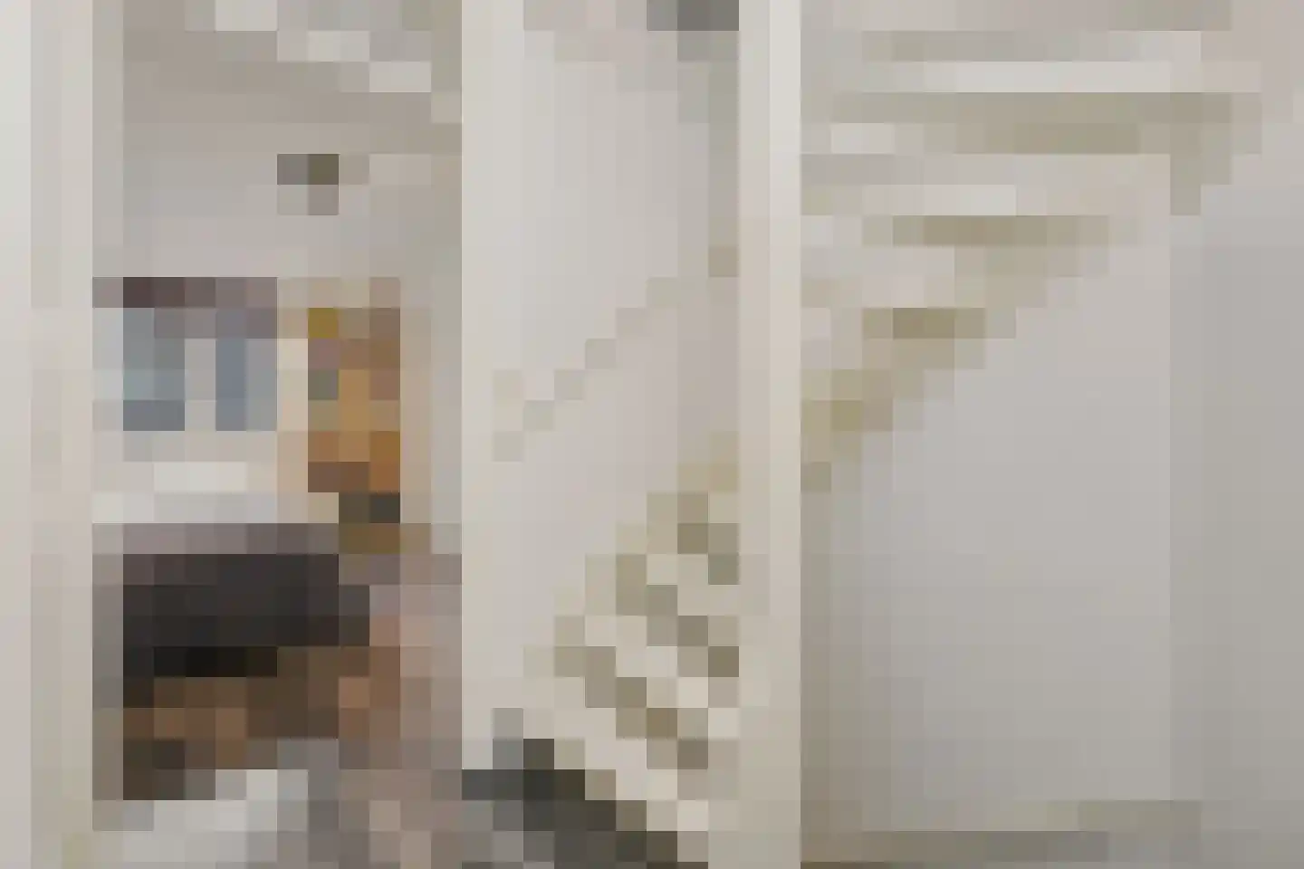 Stockhekken 10 Heesch thumbnail 22